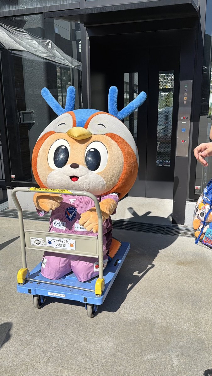 from_ngsk's tweet photo. ピーススタジアムにて。
#ヴィヴィくん
#ハーチモ
#モフレム https://t.co/6S2sOGkRkq