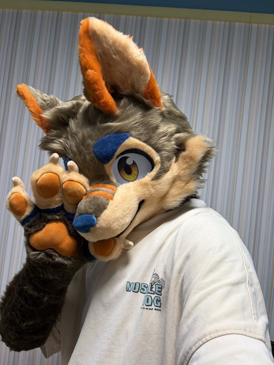 Fox_Cosmor's tweet photo. Random selfies https://t.co/GuRBiU4m0l