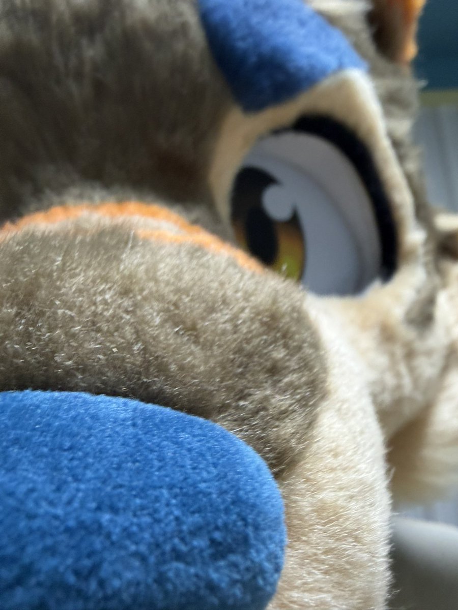Fox_Cosmor's tweet photo. Random selfies https://t.co/GuRBiU4m0l