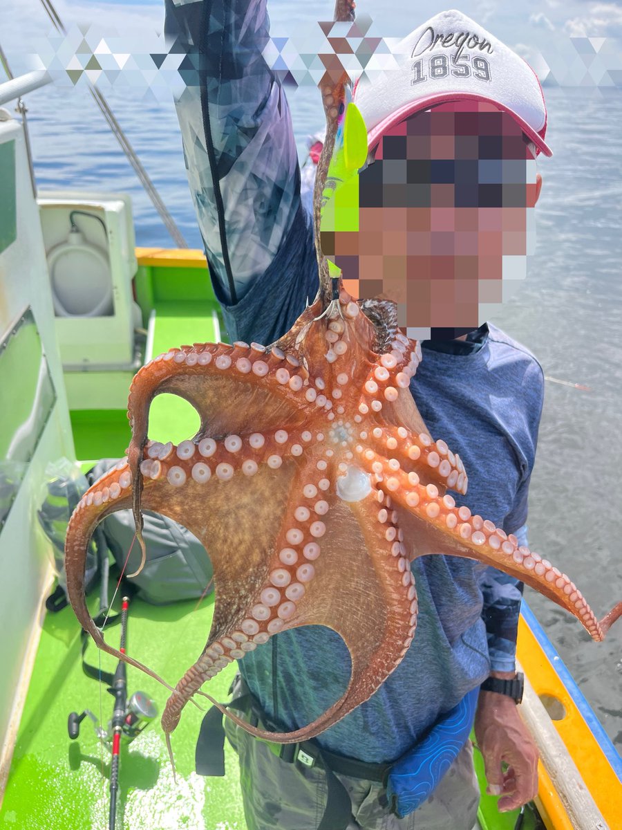 keisukeyoshikyu's tweet photo. タコ船長🐙🐙🐙🐙
今日はなんだか終日ぽちーんぽちーん
あまり盛り上がる時間はなかったですね｡ﾟ(ﾟ´ω`ﾟ)ﾟ｡
しかーーーし
終わってみれば好釣果でした☺️
皆様複数杯以上ゲットでした。

15名で船中70杯　
おでこなし！！！！！

#吉久
#タコ https://t.co/HBT4ifLjtr