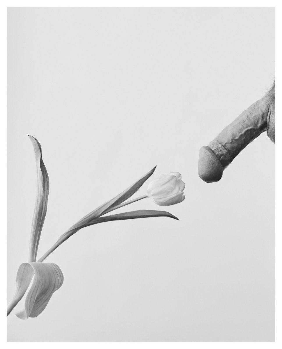 BoyzandFlowers's tweet photo. /TULIP + DICK
#BOYZandFlowers https://t.co/AnztkIHks0