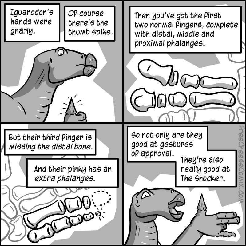 CJ_Cusack's tweet photo. Iguanodon 
https://t.co/hWwGH3nY6N https://t.co/EWI8cAnx6g