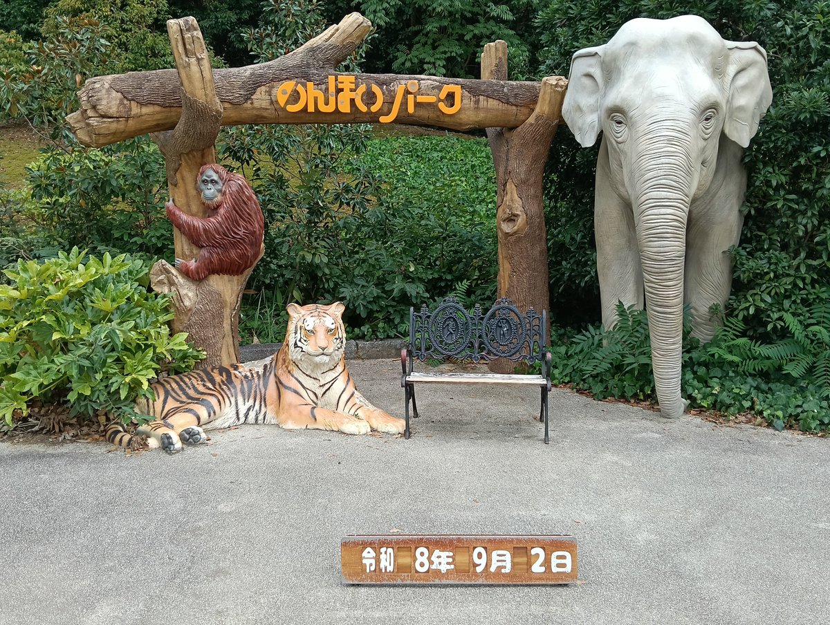 pandaba708's tweet photo. 📷️26 9/2（水）

キャッキャ騒いでる幼稚園か保育園の団体のチビたち前に怯むどころか
「みんなどっから来たの?アタチに会いに来てくれたのね😆」と言わんばかりに最強の笑顔を振りまく杏香ちゃんでおつのんほい

#豊橋総合動植物公園
#のんほいパーク
#レッサーパンダ
#杏香 https://t.co/kbze554Huk