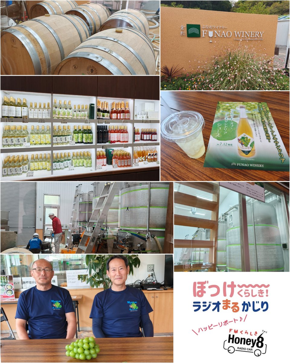 FM_kurashiki's tweet photo. 【ぼっけーくらしき！ラジオまるかじり】

　9月2日(水)放送のハッピーリートは、倉敷市船穂町のふなおワイナリーにお邪魔しました。

　ふなおワイナリーでは、今年度初となるマスカット・オブ・アレキサンドリアワインの仕込みが行われました。作業は午前中に、葡萄の房から軸の部分を取り除き https://t.co/yJ0bP8Ih4Y