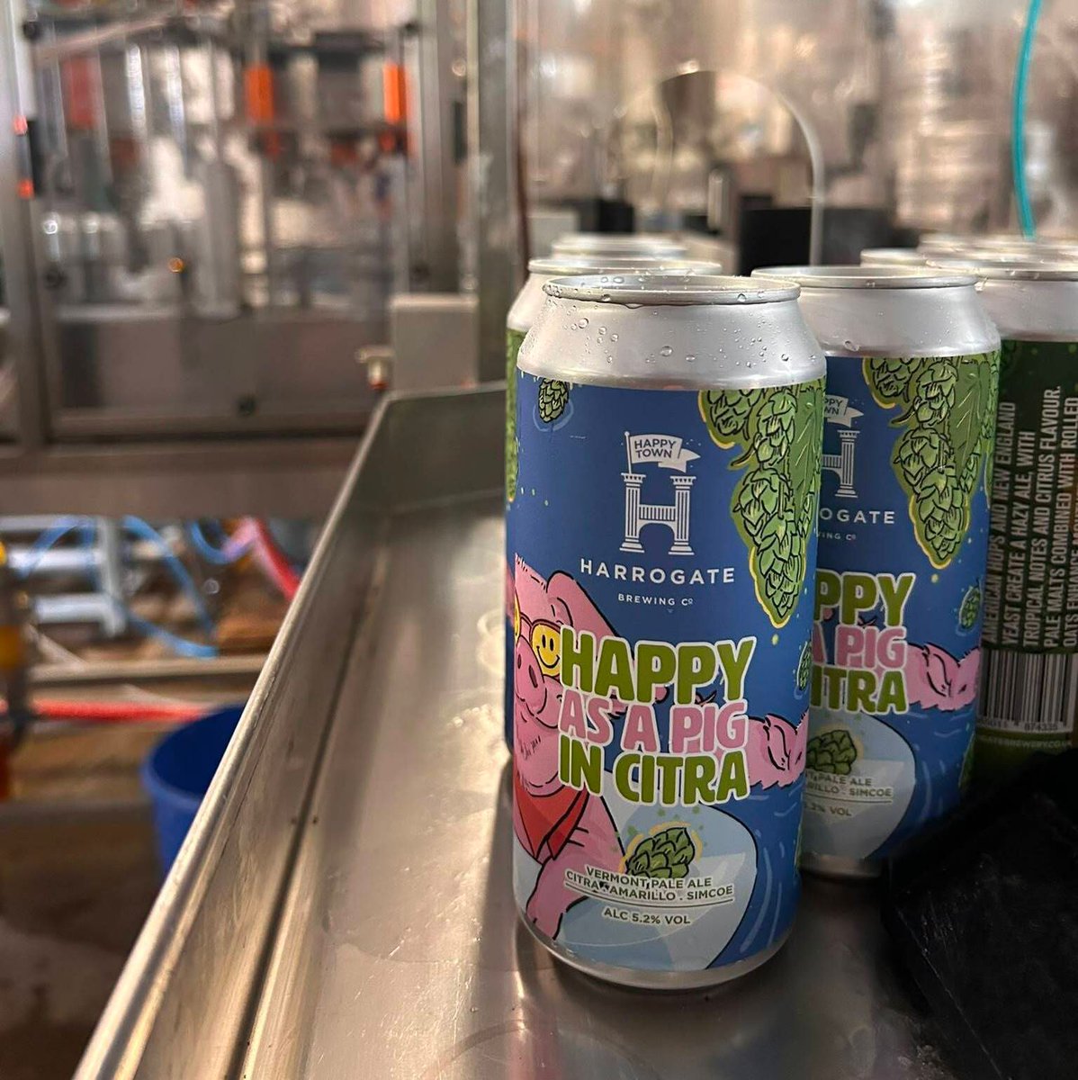 HarrogateBrewCo's tweet photo. Happy as a Pig in Citra 🐷 Back in can! 🍻 https://t.co/a19l6orH32