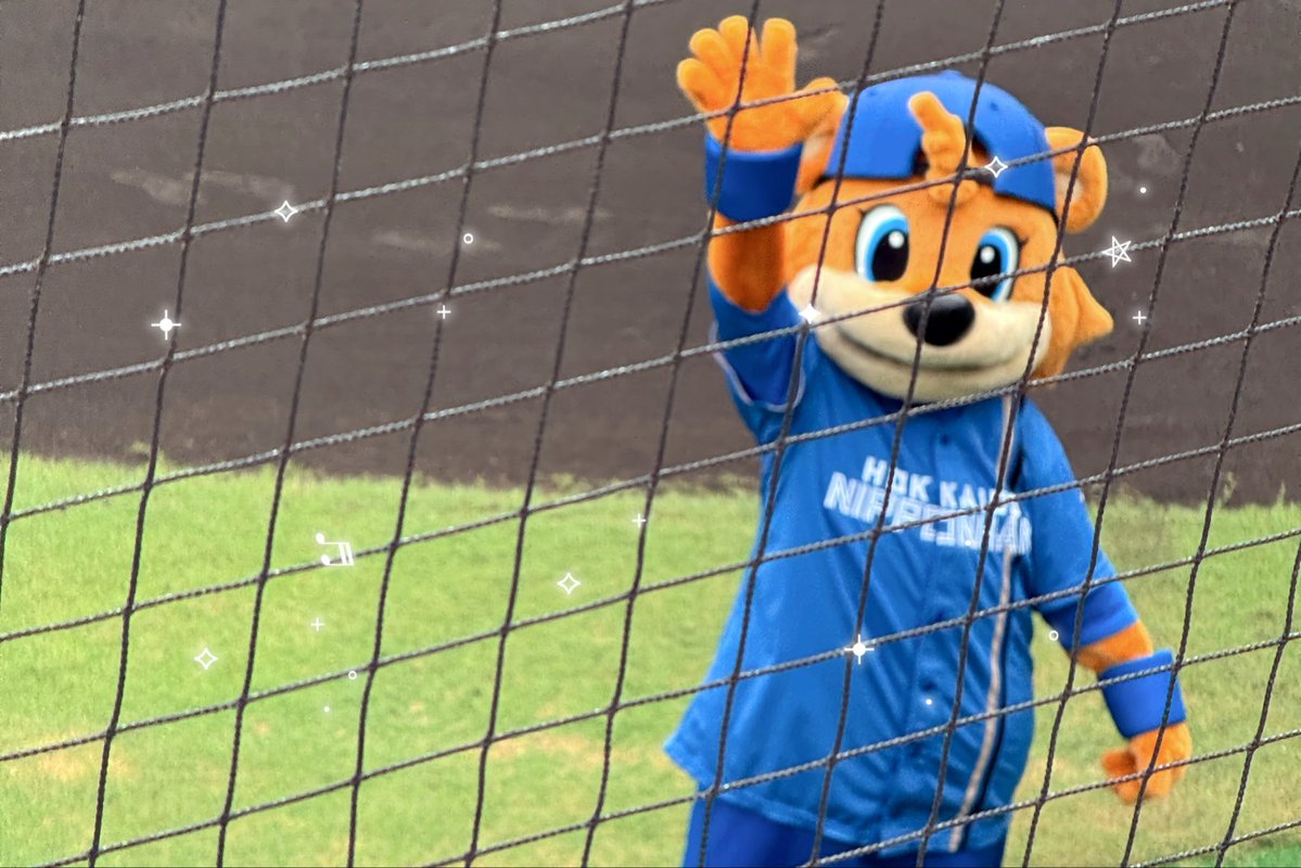 82___k_'s tweet photo. カビーちゃんは裏切らない🐻🎶 https://t.co/weXZ39B0AR