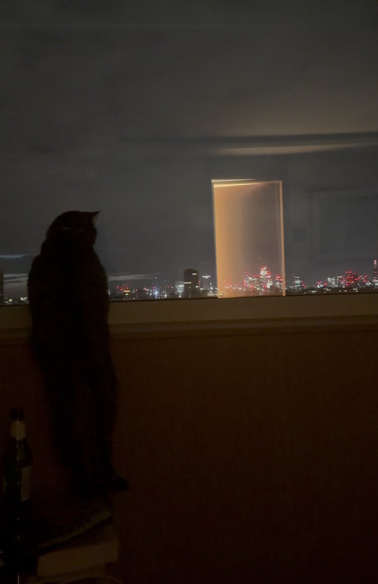 PickliciousF's tweet photo. Today is my 10th birthday &amp; my mummy took me to stay in a smart hotel! (Definitely because it’s my birthday &amp; not because there was dusty work in the house). I made myself at home, slept under the covers with my head on a pillow &amp; watched the sunrise! Best birthday ever. https://t.co/rloCNRyKEy