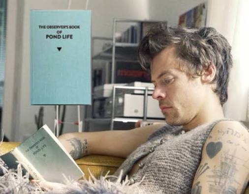 Rvnningthieves's tweet photo. I'd love to see what H reads these days. https://t.co/ri6N0Co6GX