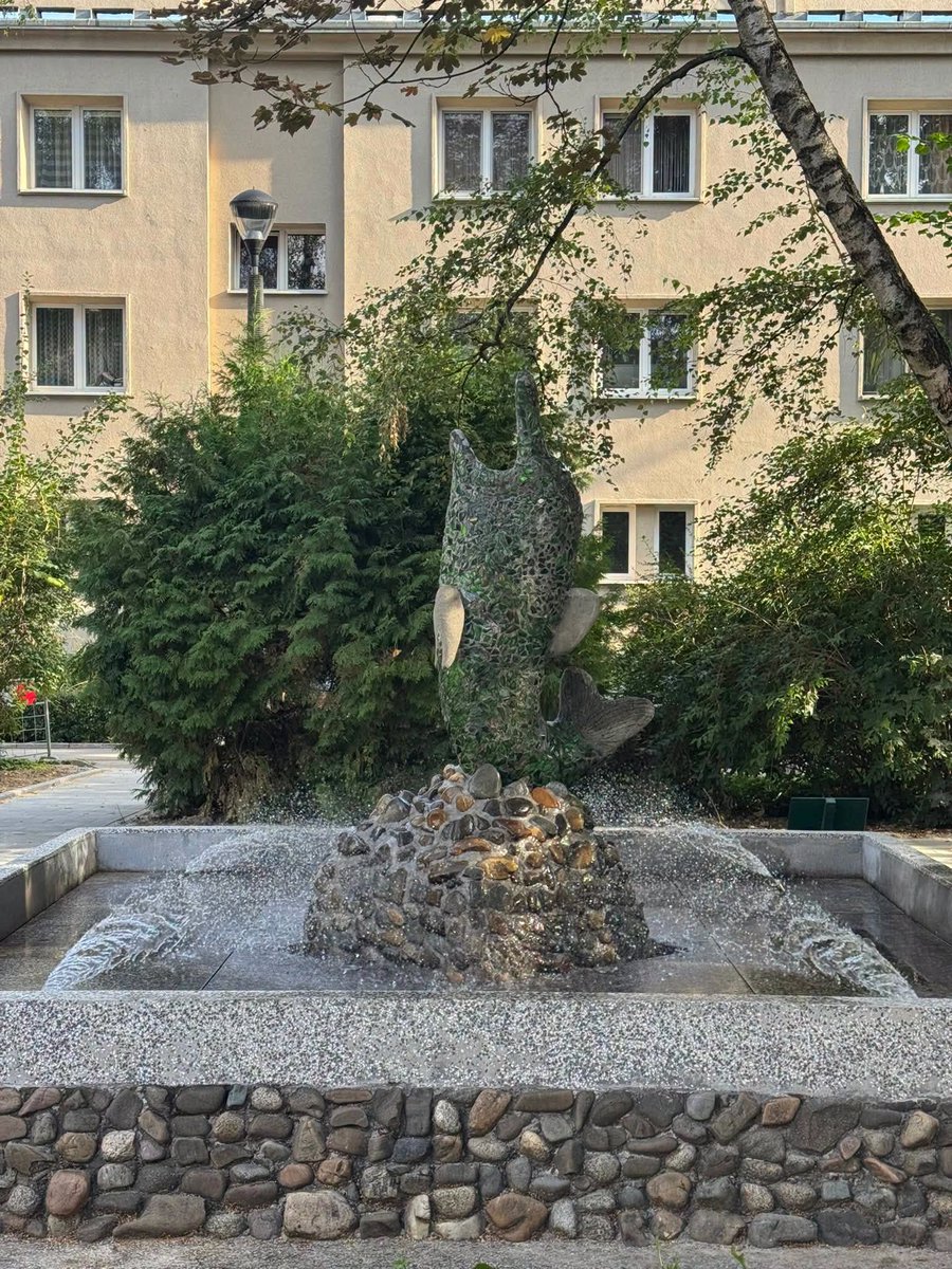 krakow_pl's tweet photo. #Krakow #FontannaDelfin #NowaHuta #ZZM #ZIW
#fontanna #wodotrysk
Od dziś kultowy „Delfin” na Osiedlu Górali znowu jest fontanną! ⛲
Najpierw Zarząd Zieleni Miejskiej odnowił „Delfina” – wyczyszczona została rzeźba i niecka fontanny, zrekonstruowane płetwy brzuszne delfina, 🐬odtworzone warstwy lastryka i uzupełnione ubytki.
Dziś Zarząd Infrastruktury Wodnej po raz pierwszy od remontu „puścił" wodę w fontannie i przejął opiekę nad wodotryskiem. ⛲
📷ZZM