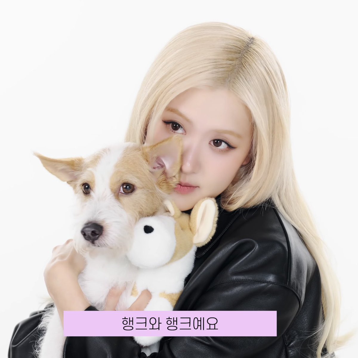 inluvwithchaeng's tweet photo. my heart just melt 🥹🩷look at them😭😭 https://t.co/vZiH7Nn3zY