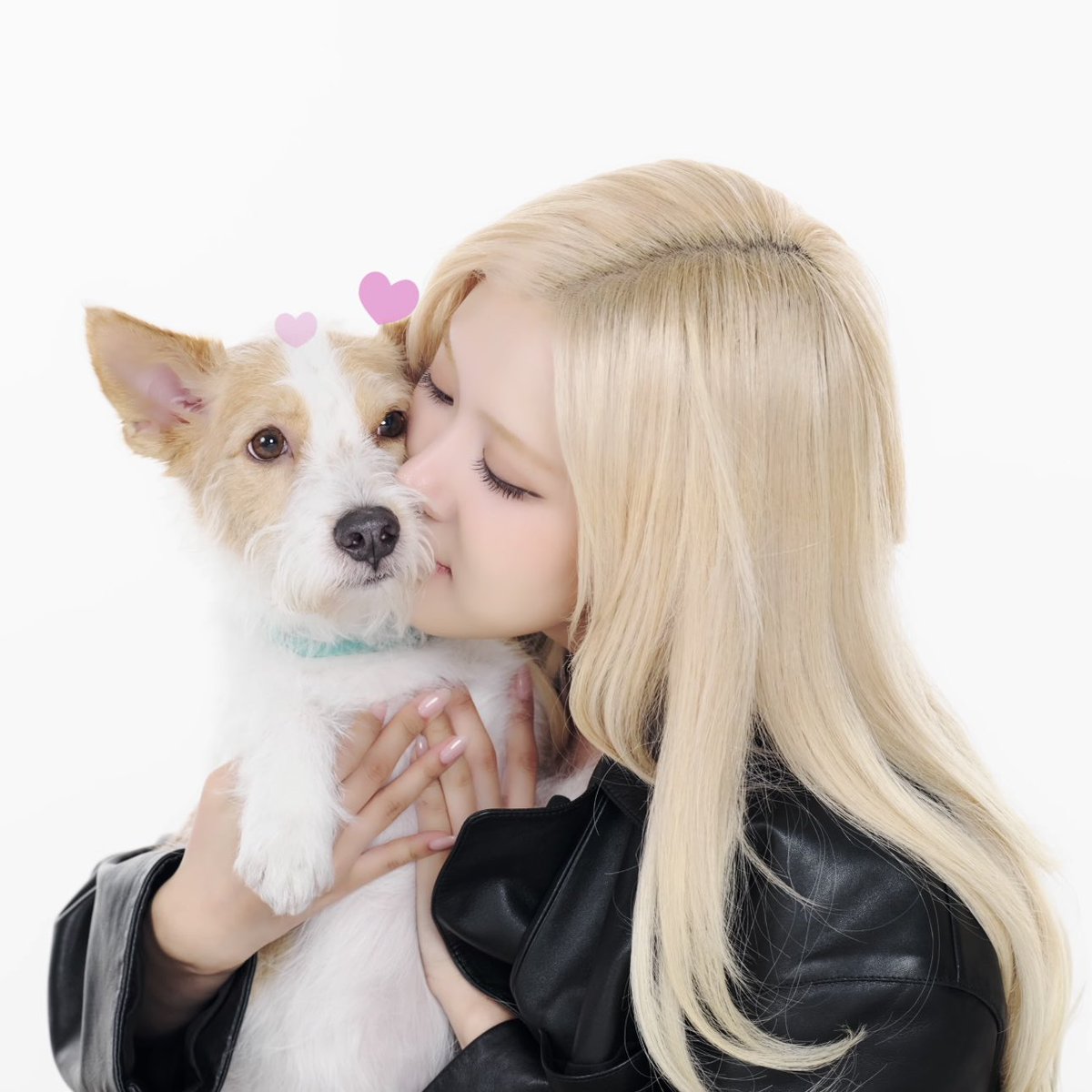 inluvwithchaeng's tweet photo. my heart just melt 🥹🩷look at them😭😭 https://t.co/vZiH7Nn3zY
