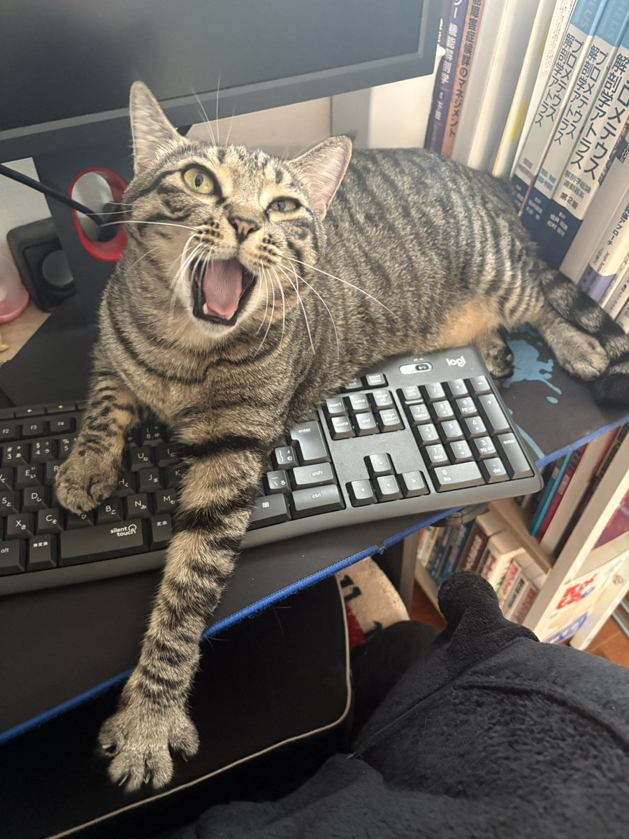 kagisuzu0531's tweet photo. ゲームしたくて定時で帰ってきた
パパへの仕打ちがこちらです https://t.co/kQyRvgulOh