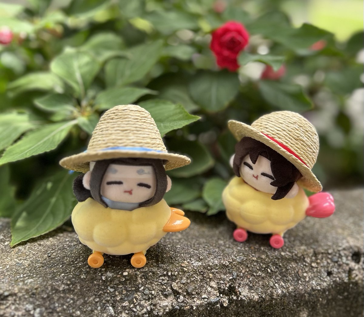 yumaasi's tweet photo. もぐちゃんお外遊び♪
暑かったね〜☀️ https://t.co/fbijTwyOXR