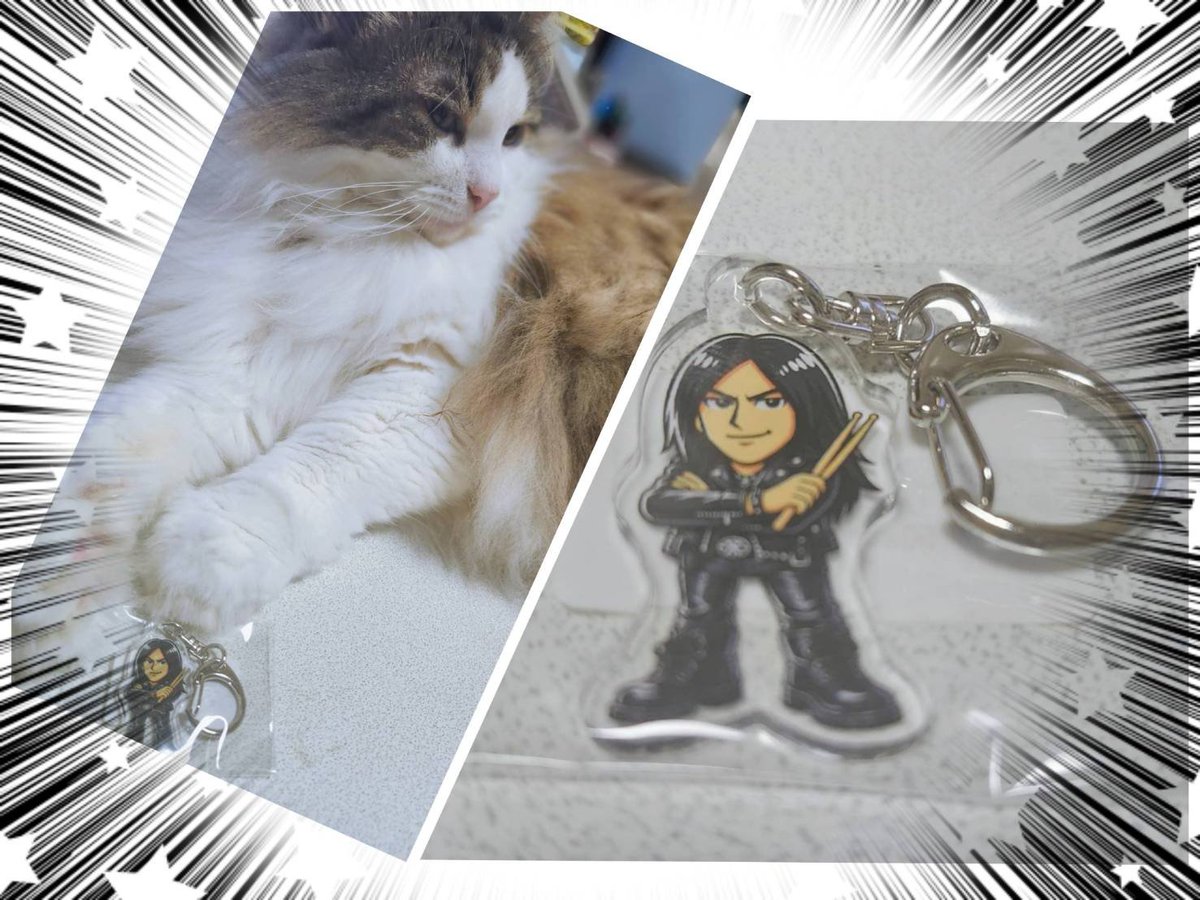 nonlukeleia's tweet photo. ヨースケさん✨キーホルダー
届きました～🥁✨
いちばん小さいの注文
🐈️猫の手元に🖤📸ちっさ(≧▽≦)

#伊吹陽介 #ヨースケ #ドラム #BLINDFAITH  #KellySIMONS https://t.co/yLFBTmflJE