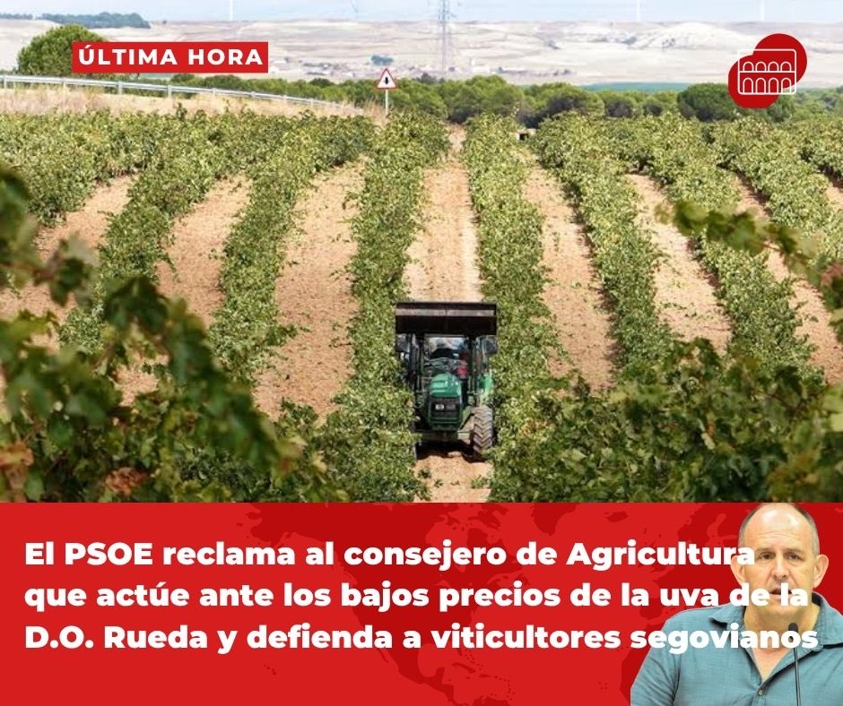 PSOEdeSegovia's tweet photo. 🍇 Sin viticultores no hay Rueda. La uva de nuestros agricultores no puede pagarse por debajo de los costes de producción.

Exigimos al consejero de Agricultura de la Junta (Vox) que actúe y defienda a nuestros viticultores.

Toda la info⤵️
https://t.co/n9KeKv5mBa https://t.co/s3UT3smMdM