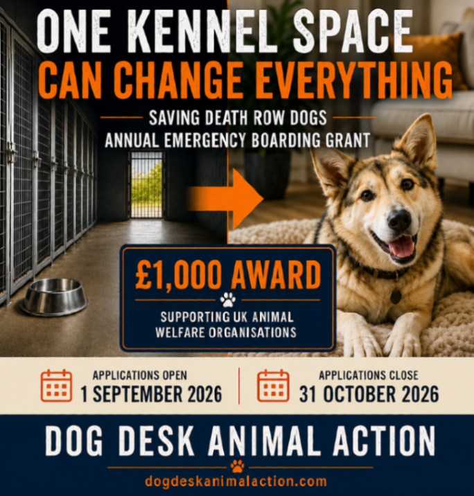 DogDeskAction's tweet photo. One kennel space can change everything.

Our £1,000 Annual Emergency Boarding Grant supports UK animal welfare organisations helping dogs when there is nowhere safe for them to go.

📅 Applications: 1 Sep–31 Oct 2026

https://t.co/RiTCakC7ls https://t.co/aCCDPbfvHu