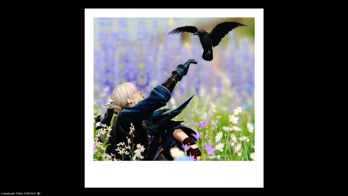 ta_maru92's tweet photo. 🐦‍⬛ https://t.co/u8nH0UedT0