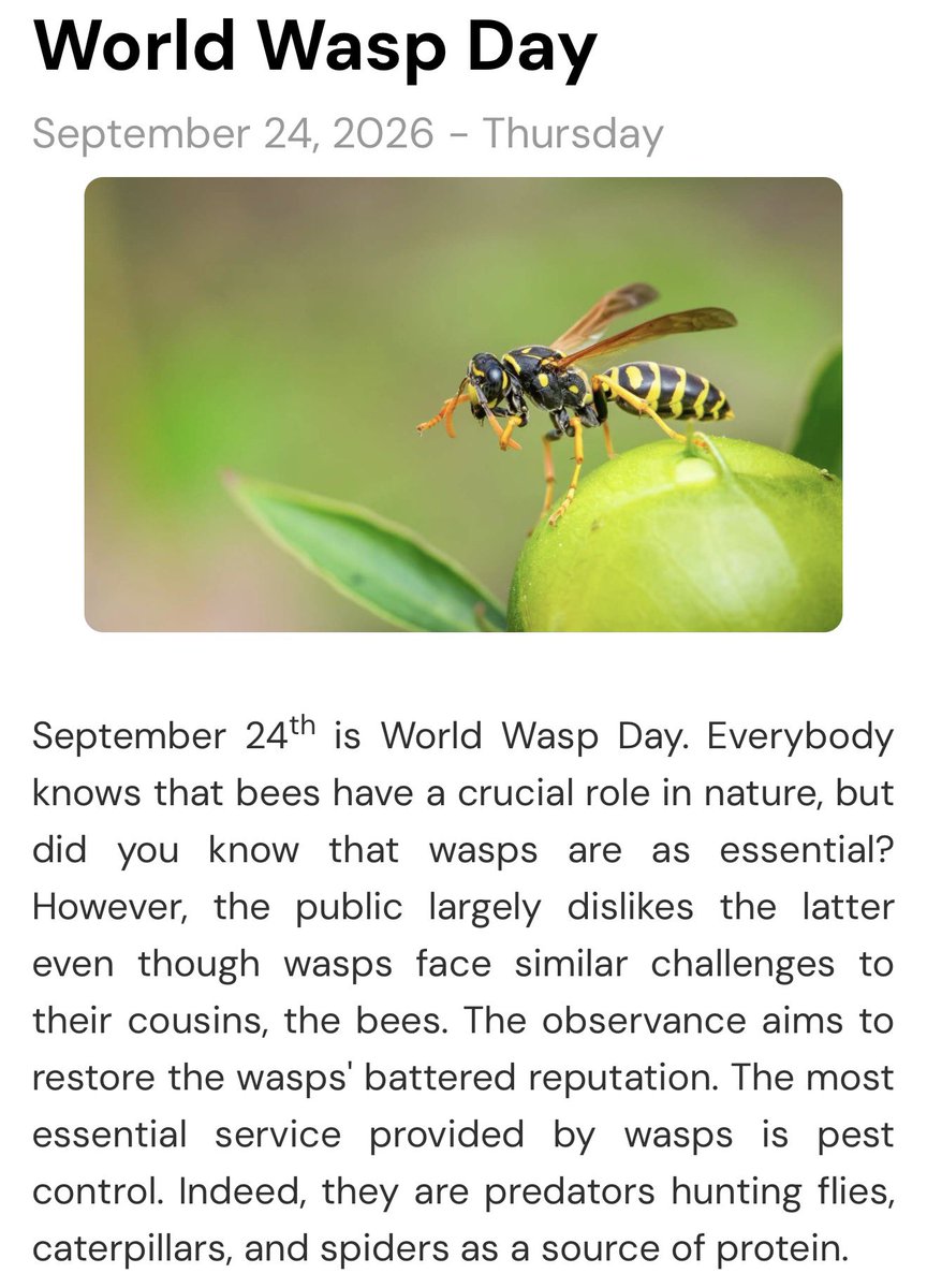 TracksideTote's tweet photo. just found out WORLD WASP DAY IS SEPTEMBER 24TH??? 😭😭 the SAME weekend as baku, where oscar was called a bumblebee after his “impossible” race winning overtake on charles in 2024?! 😭🐝 @OscarPiastri PLEASE wear a wasp helmet that weekend the universe is literally begging you🙏 https://t.co/RX9hYDqwkr