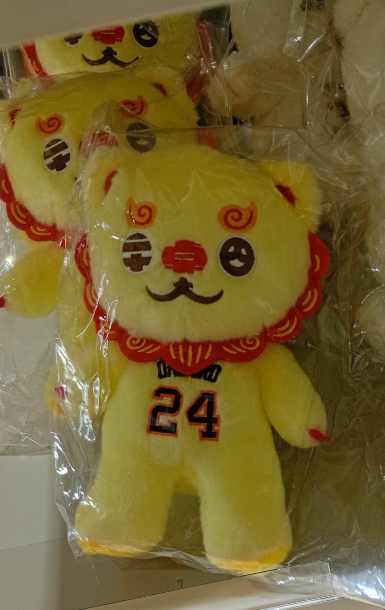 ssooxxcat's tweet photo. 再販バージョンのオオシーサー初めて生でみた　やっぱりかおがうちの子とちがう😆 https://t.co/5TPOpP9gNS