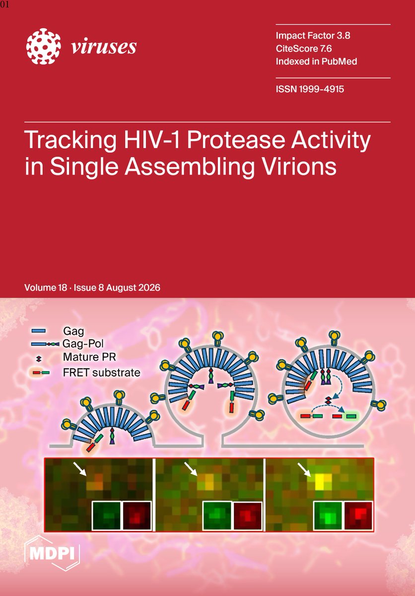 VirusesMDPI's tweet photo. 🧬 Viruses Volume 18, Issue 8 is out!

Explore 118 articles covering HIV-1 maturation, chikungunya, SARS-CoV-2 antiviral resistance, tick-borne viruses, avian influenza, vaccines &amp; more.

🔎 Explore the issue: https://t.co/tWfFJIGu7j

#Viruses #Virology #VirusResearch https://t.co/EULa1eDLFP