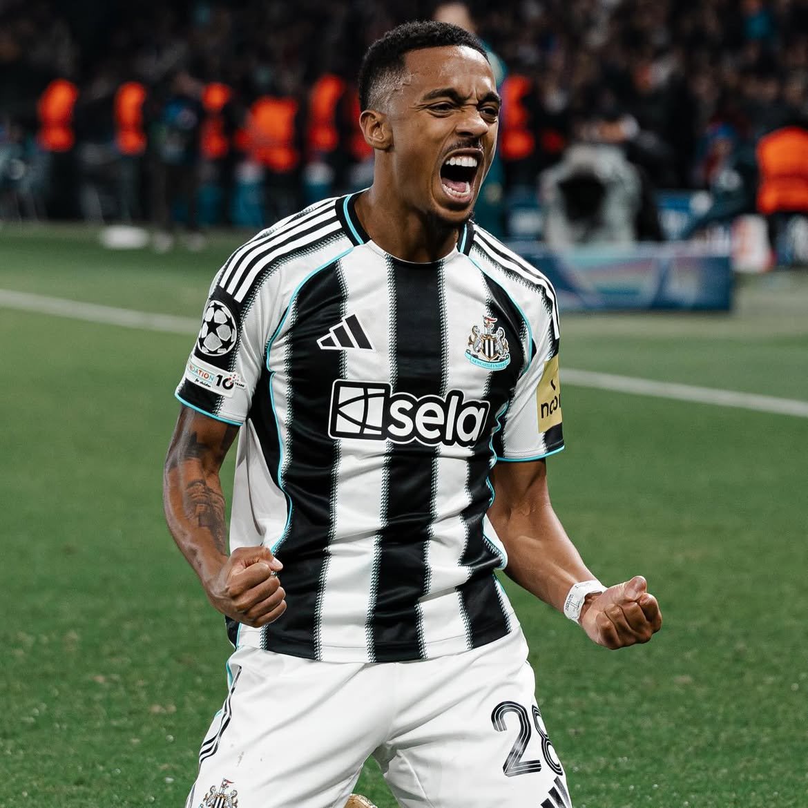 kartalhatti's tweet photo. Hoca en çok Willock'u istedi. Willock olmayınca Sarr ismine onay verdi.

İki isim de olmadı, Raskin gündeme geldi.

(Fırat Günayer) https://t.co/7ON0jURvlg