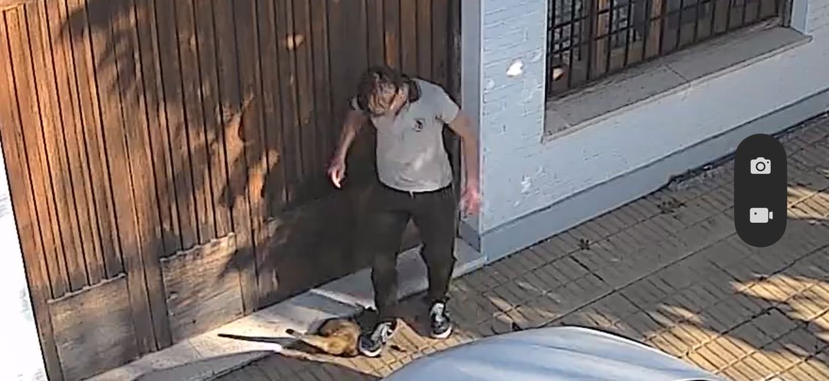 RealTimeRating's tweet photo. Un adolescente, vestido con el uniforme de un colegio privado, agredió a un gato luego de acariciarlo y le pisó fuertemente la cabeza. Ocurrió en la calle Florencio Varela, en Temperley. https://t.co/enufbHDuER