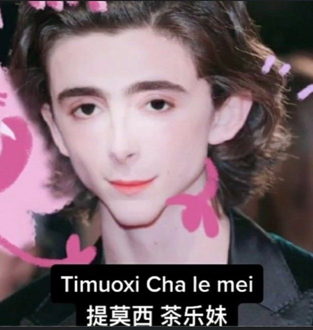 franphobic's tweet photo. dude the guy who played orpheus in the 2025 broadway production of hadestown looks exactly like timouxi cha le mei https://t.co/uTl52JPgKY