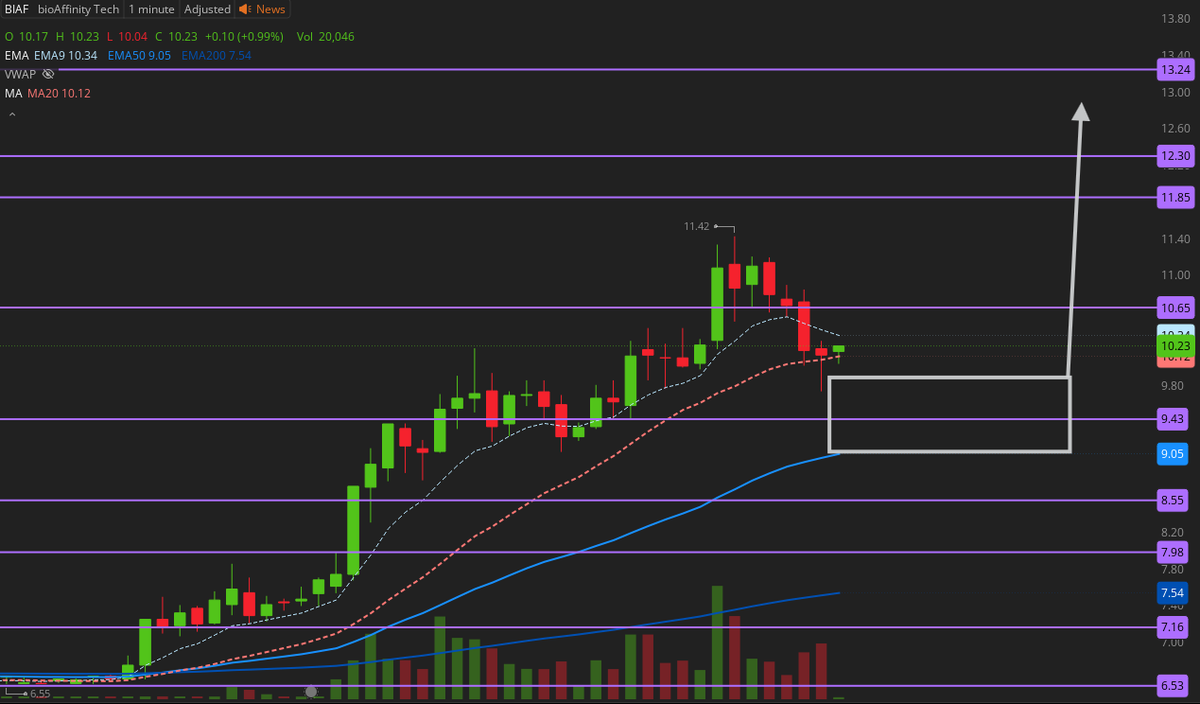 $BIAF 9-9.9 is the demand zone  
10.65 breakout again will send it 11.85 > 13.24 >14.11 > 15.15 
 [📷](https://pbs.twimg.com/media/HRN3ghSWUAEDVDG.png)