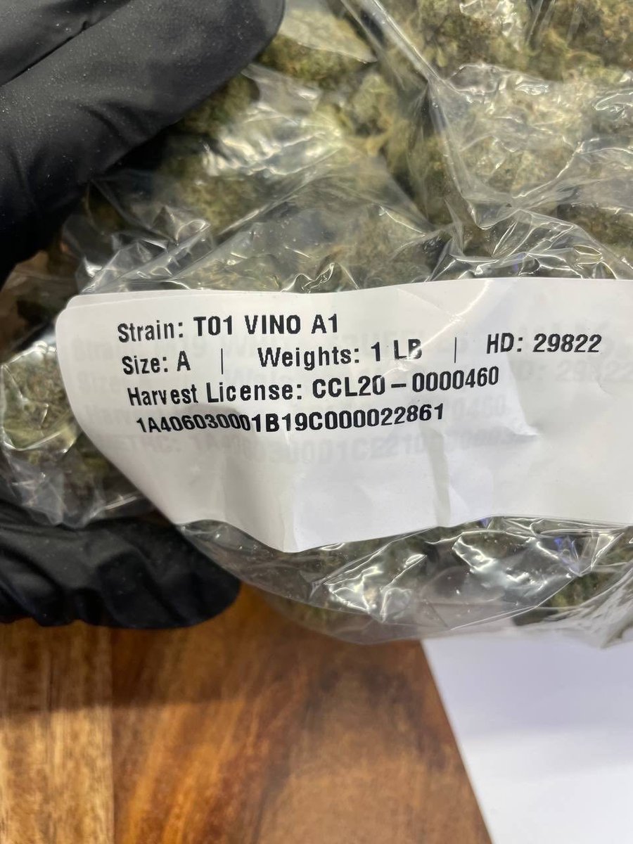 Downtownlazz's tweet photo. LICENSED VINO💯🍃🔥🔥🔥🔥🔥
- SKITTLEZ X OG 

$1000 a Pound

Tapin 👇

https://t.co/h6lDbvmHEV https://t.co/WCyOsiJzS5