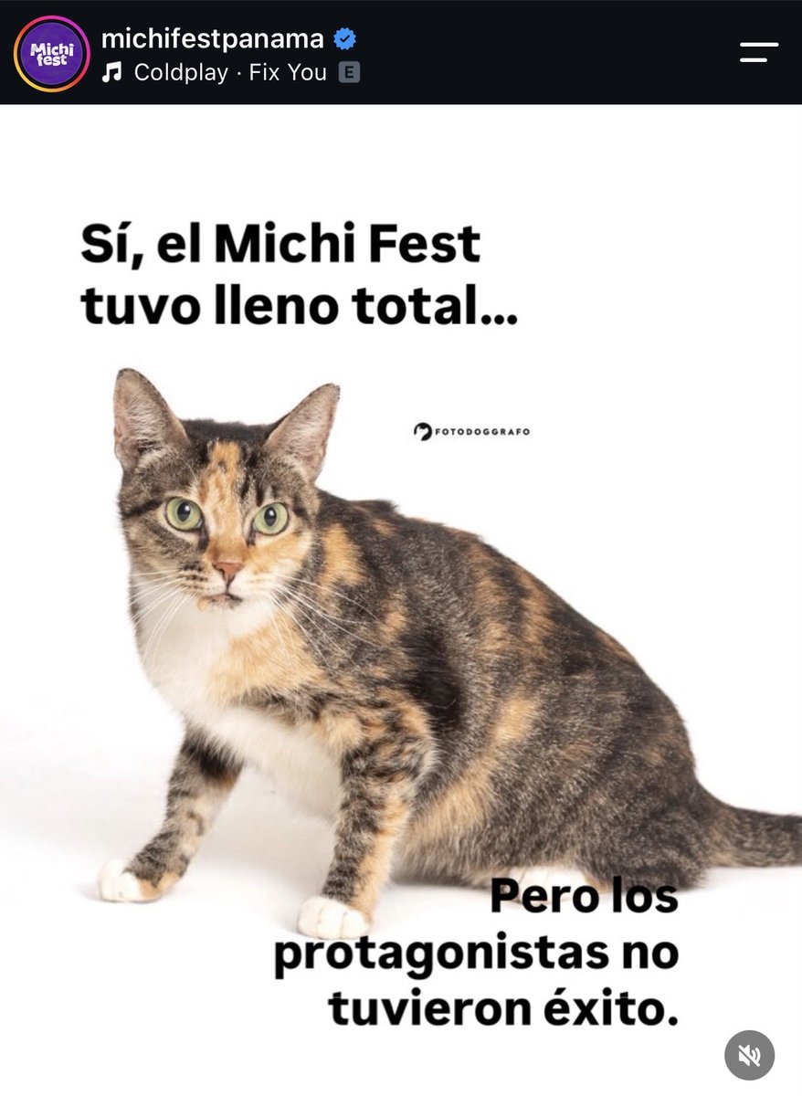 Tacobell_Loverx's tweet photo. Solo en Panamá hacen un evento de adopción de gatos, lleno total, pero no se adopta ni un solo gato. https://t.co/kWn1XxMwE6