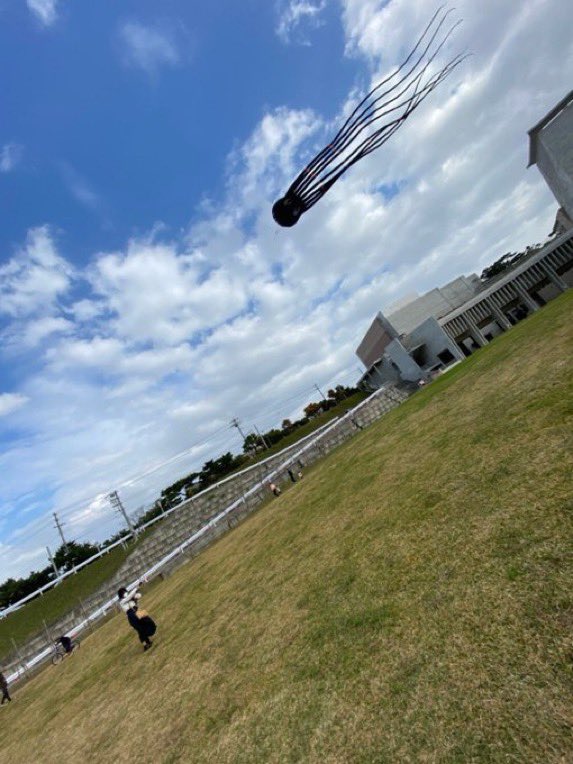 munevveralks's tweet photo. 友だちが「タコの凧上げ」をした写真を見せてくれた。どう見ても未確認生物に襲われてる瞬間である。 https://t.co/rsbuLDgKVC