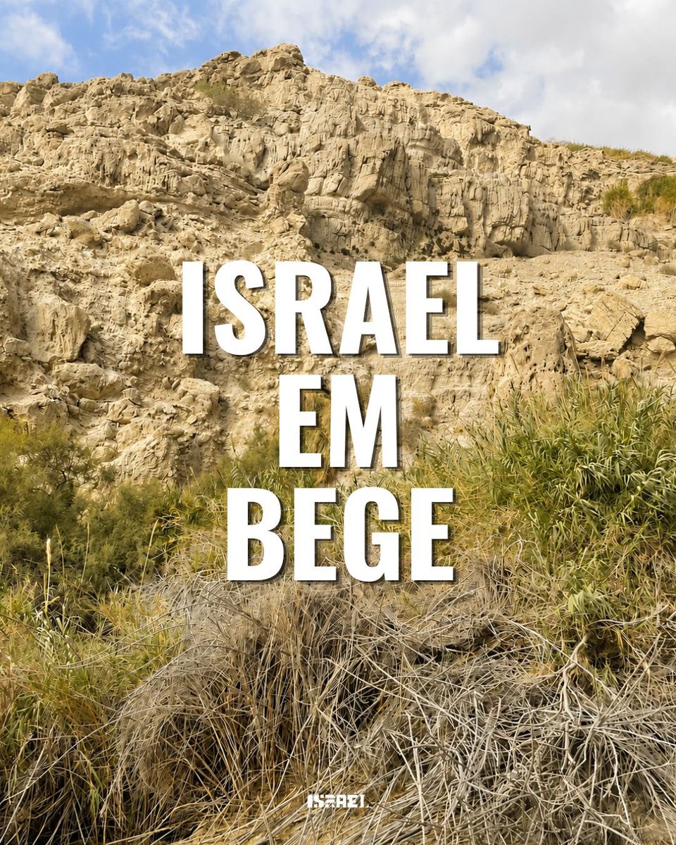 IsraelinBrazil's tweet photo. A próxima cor da nossa série "Israel em Cores": BEGE 🐪🇮🇱
Da pedra de Jerusalém e ruínas antigas às paisagens desérticas, deslize para ver o país em tons de bege. ☀️
#israelemcores #bege #animaisdodeserto #pedradejerusalem #homus https://t.co/kso4ZoXccZ
