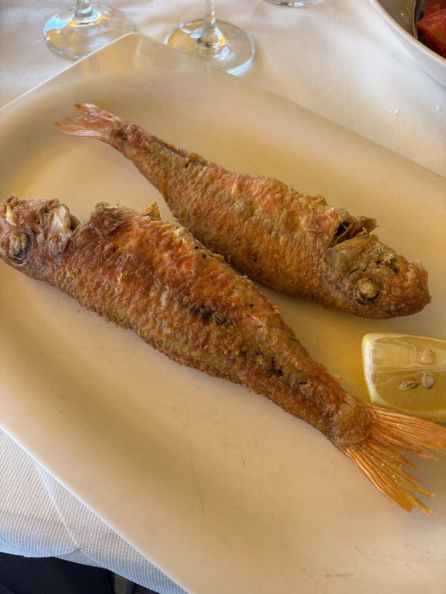 salsadechiles's tweet photo. La Marina, en Puerto de Vega, uno de mis fijos del verano asturiano. Muy buen producto y una carta de vinos muy mejorada. Hoy, salpicón de bonito, ceviche de pulpo y lubina, cocochas de merluza rebozadas y salmonetes. Con un Siluvio blanco. https://t.co/RMmMYVkUYw