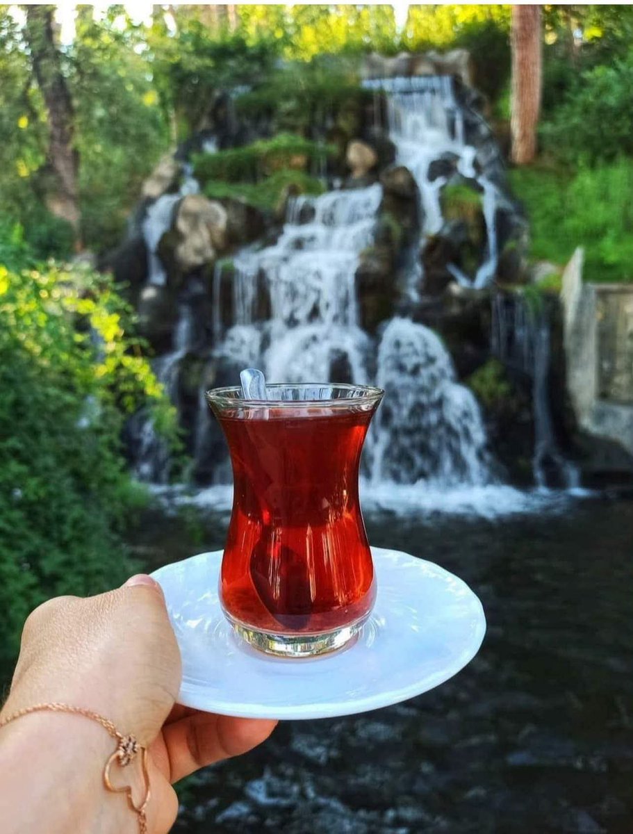 01_Esmaaaa's tweet photo. O #küsmüş
Bu #darılmış…
Şu #mesafe koymuş…
Hiç #umurumda değil.
#Çünkü…
#Taşın çiçek #açmadığını,
Suyu #boşa #harcayınca anladım.
Akşamınız huzurla, gönlünüz ferahlıkla dolsun. 🐞 https://t.co/xkPxekWrpl