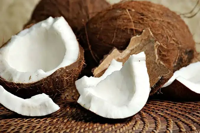 yabaleftonline's tweet photo. Today is World Coconut Day. https://t.co/pxrrLYpBxR