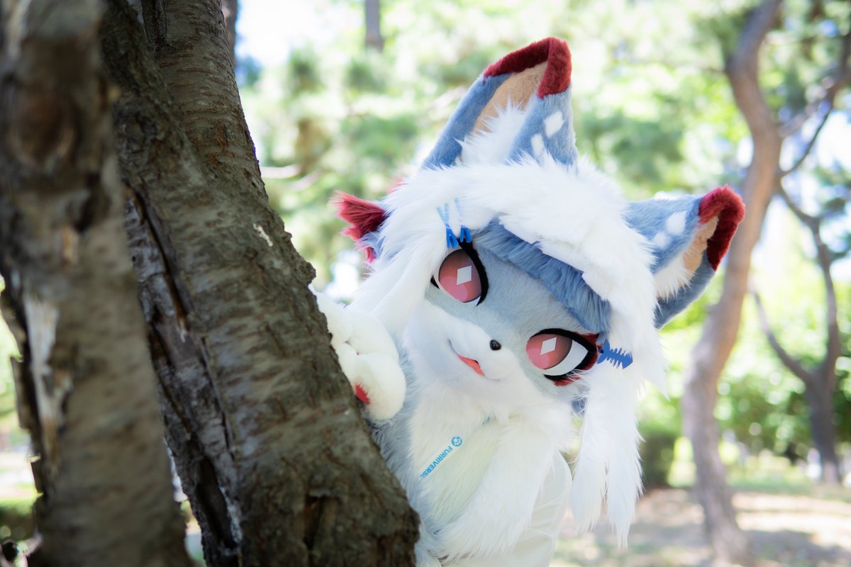 UU_CATS94's tweet photo. 찾았어! 이제 네가 술래야!

#Fursuiteveryday #겨울고양이_유캣 https://t.co/Z5A3VXZPlv
