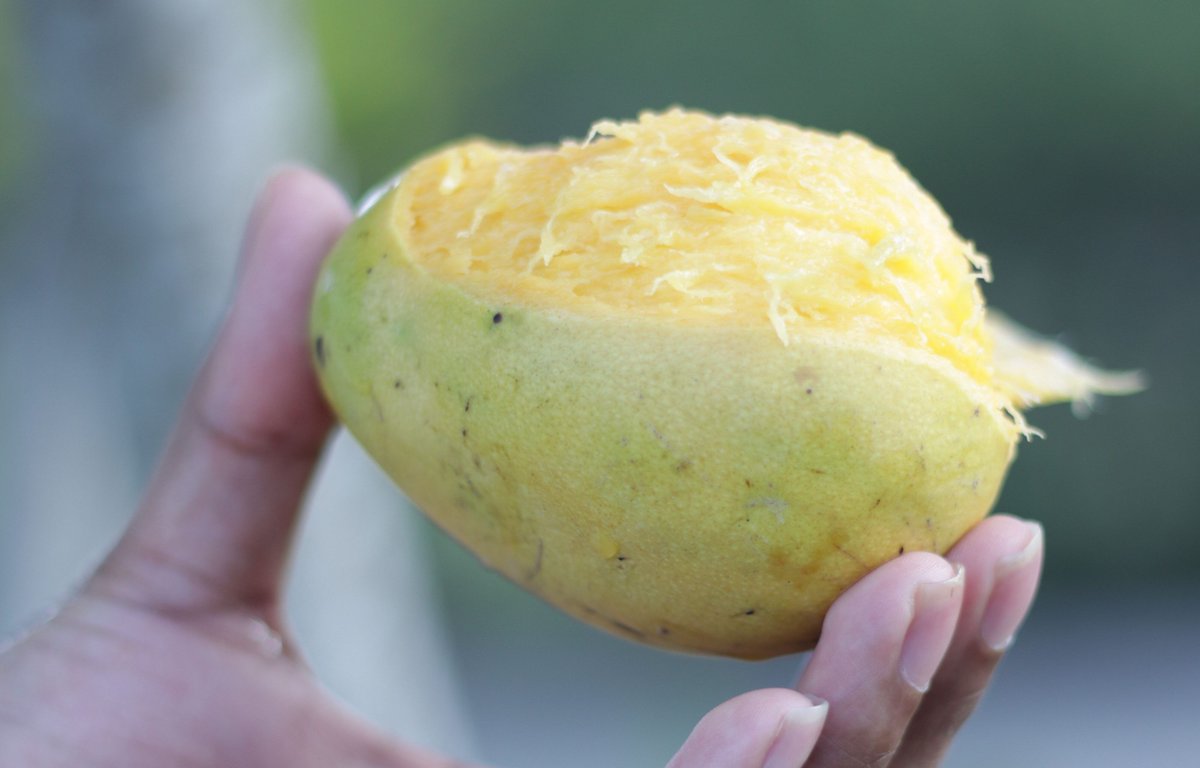 CulyNL's tweet photo. Say what? Je kunt mango ook raspen! https://t.co/lUOYuIBqO8 https://t.co/fgZ0KXFJjA
