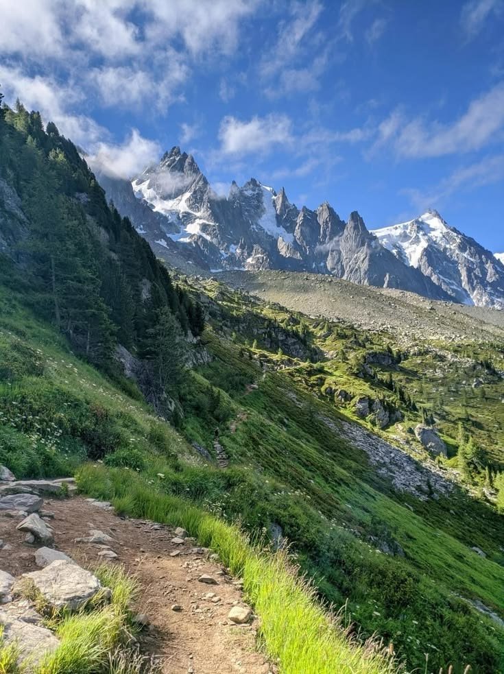 Nature_Lover82's tweet photo. #nature https://t.co/AGja4vMS1j