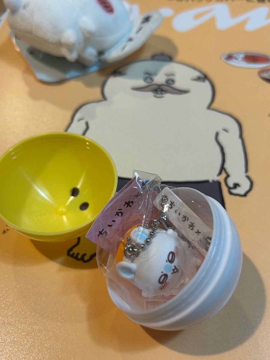 00______15's tweet photo. 今更ながらですが募集🫱🏻🩵

譲：モモンガフィギュア
求：ハチワレフィギュア、ちいかわフィギュア

郵送希望です😖

#くら寿司
#ちいかわ https://t.co/9WPmnhSoDw