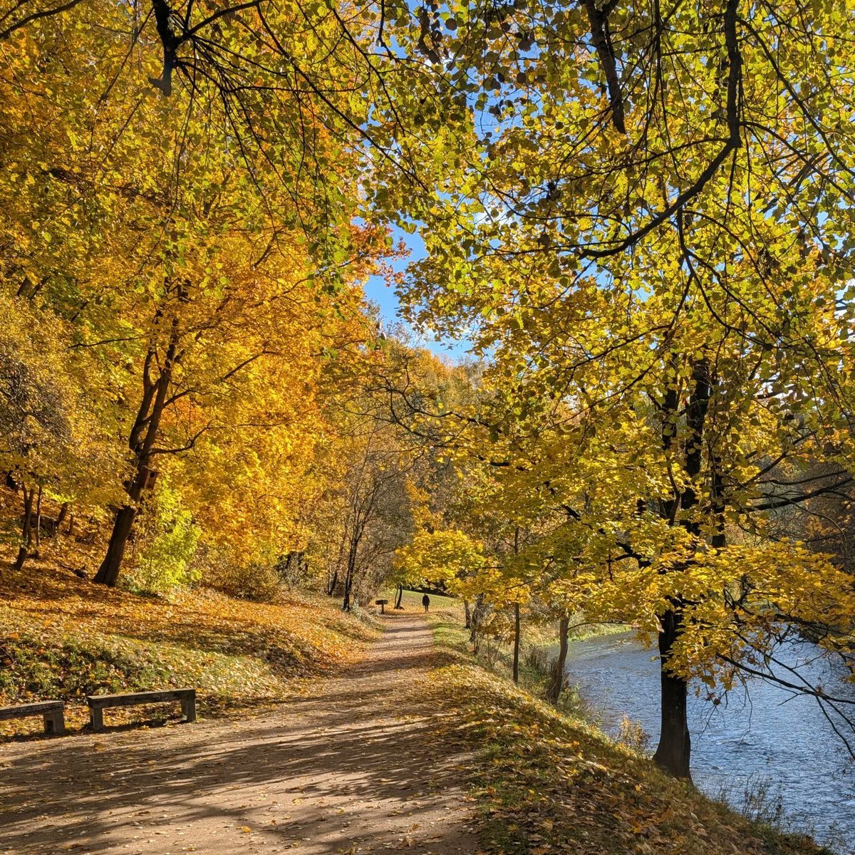 MurielTankesly's tweet photo. 🍁🍃🍂 https://t.co/9QskKRq0mX