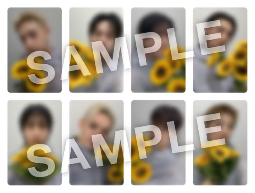 Ringo_644's tweet photo. ひまわり🌻トレカは大分惹かれる🥺✨ https://t.co/qhkoo2pl0g