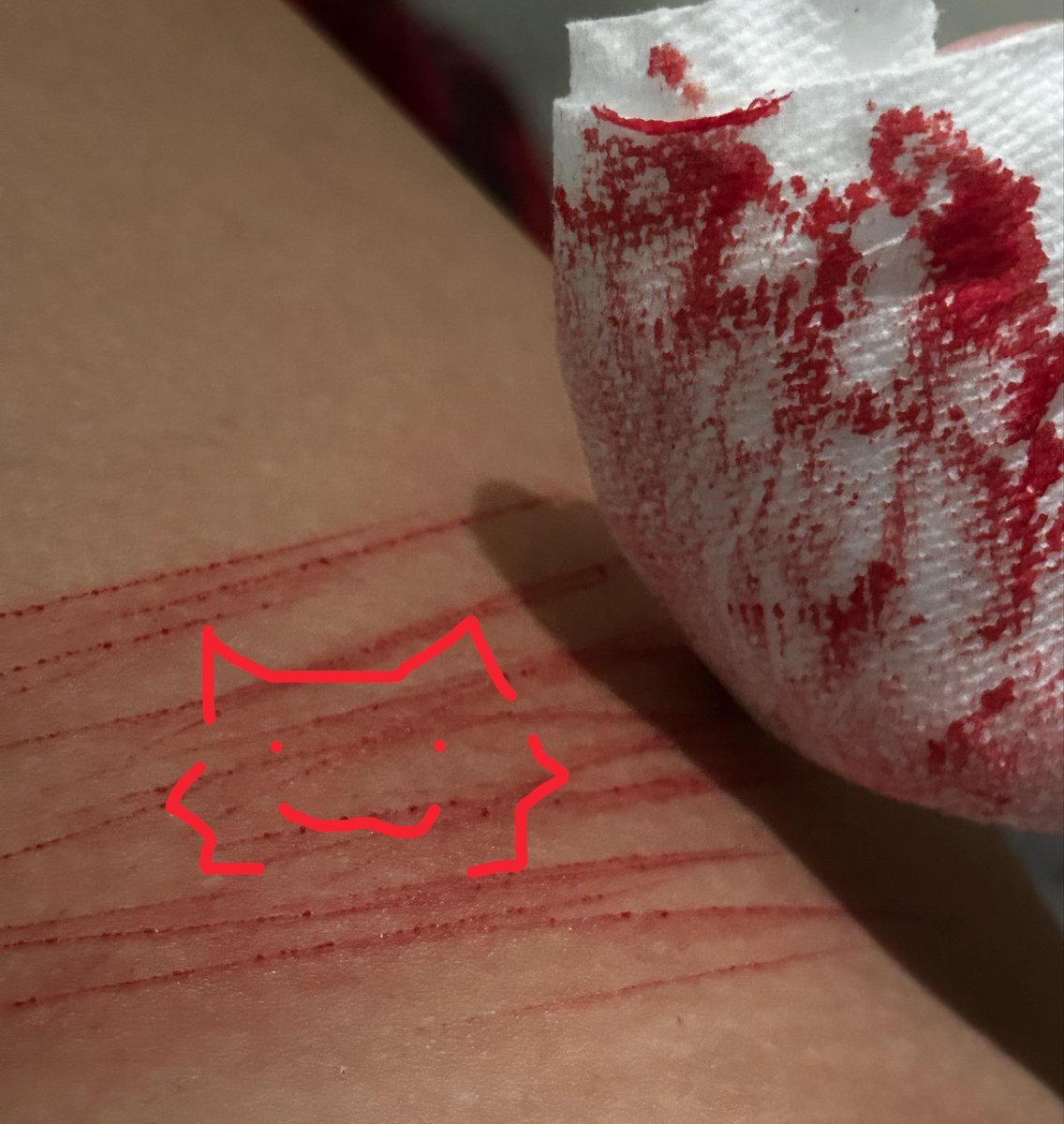 theodd420sout's tweet photo. SFX MAKEUP ALL FAKE wow aww look at the cat aww  aww https://t.co/Vra8y18wf5