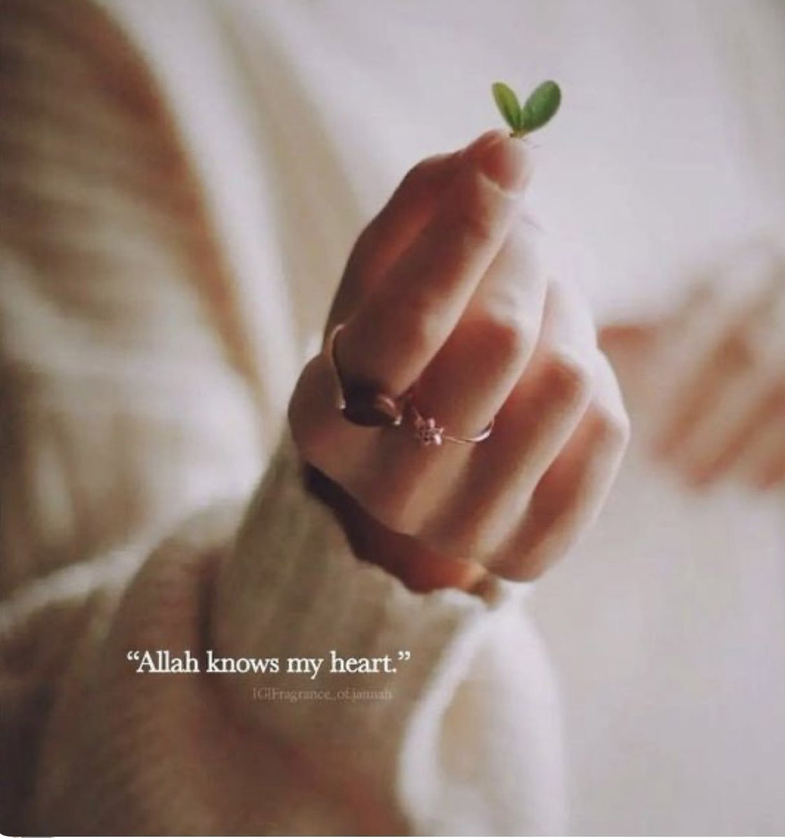 SadafGulrukh's tweet photo. رویوں کے سائیڈ ایفکیٹ دوائیوں سے زیادہ ہوتے ہیں💞💫 https://t.co/PuSa1gplye