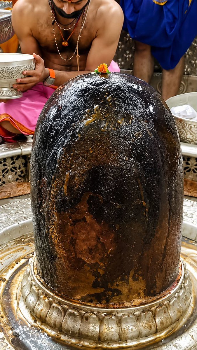 ASingh0404's tweet photo. Mahakaleshwar darshan 🕉🙏 https://t.co/4GK1sewhbj