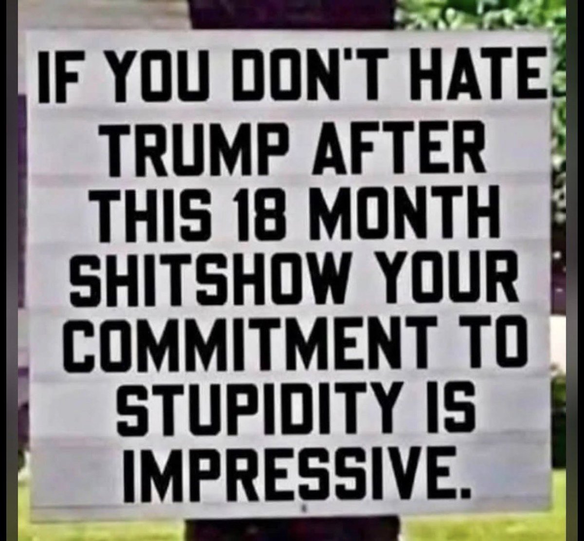 ML3democrats's tweet photo. I said what I said ⬇️. I wish you a very blessed day ☀️🍂🦉 except for MAGA https://t.co/TQYXg4Tmg2