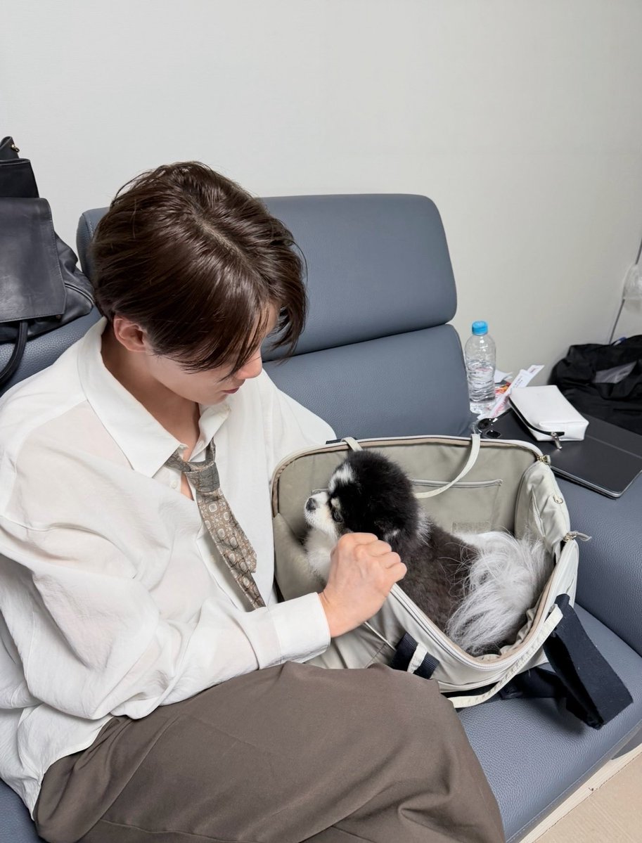 Junsu_PALMTREE's tweet photo. 🥥World Coconut Day

🐶
  
#김준수 #KIMJUNSU #金俊秀 
#XIA #XIA준수 #ジュンス https://t.co/UMIlatTpYL