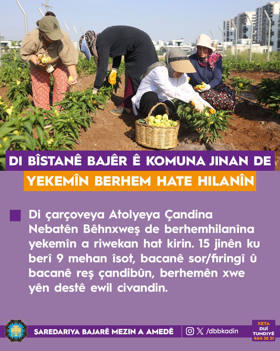 dbbkadin's tweet photo. https://t.co/PlJ451IhmS