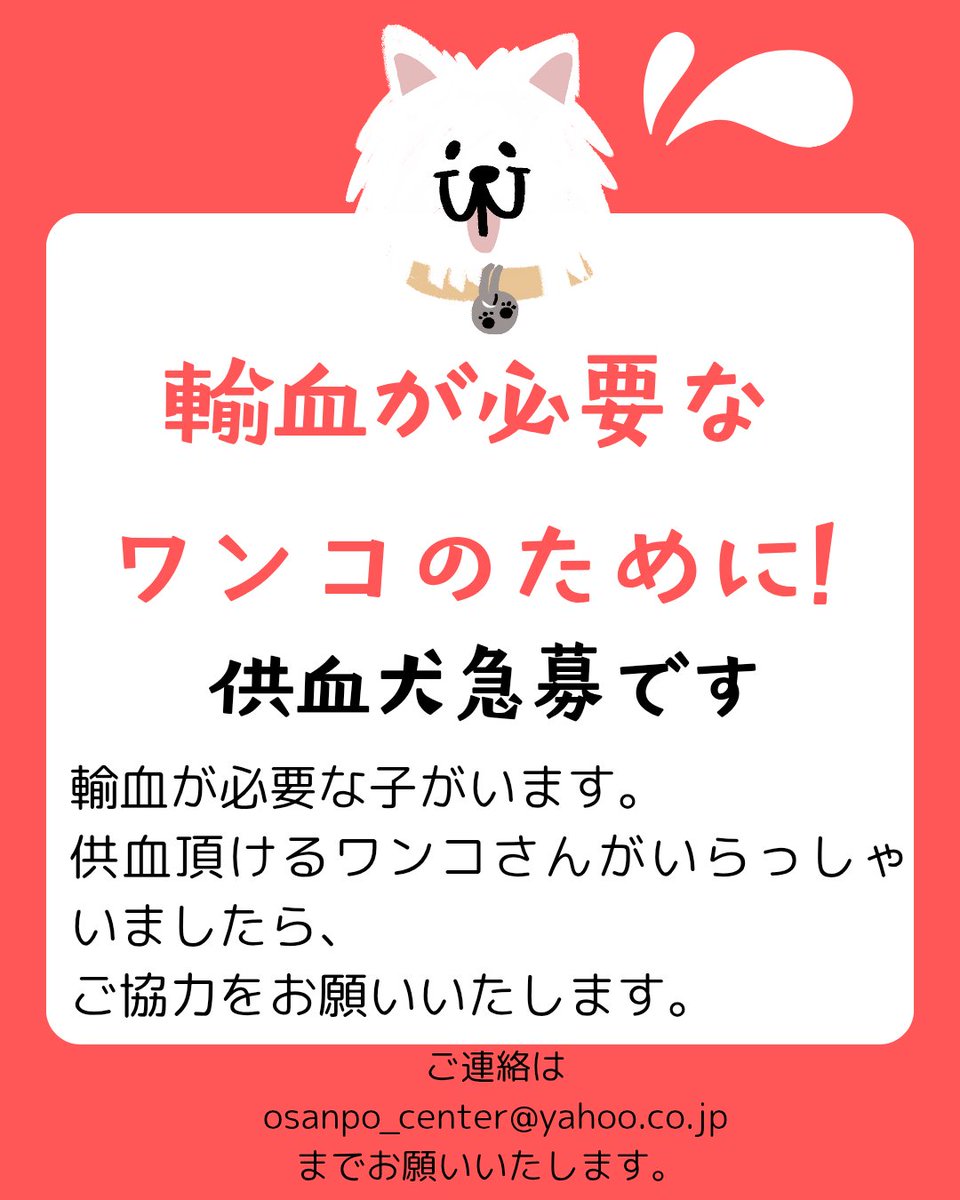 osanpo_center's tweet photo. 【※緊急※】
～供血のお願い～
輸血を必要としている犬がいます。
供血可能なワンコさんのご協力をお願いいたします。
供血条件にマッチし、印西市の動物病院までお越し頂けるワンコさんがいらっしゃいましたら、お散歩隊までご連絡ください。
飼い主さんにお繋ぎします。 https://t.co/6CdCIeKjFP