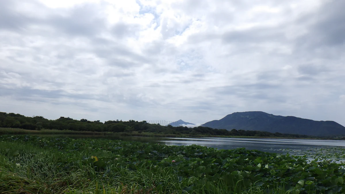 佐潟水鳥・湿地センター on X: 