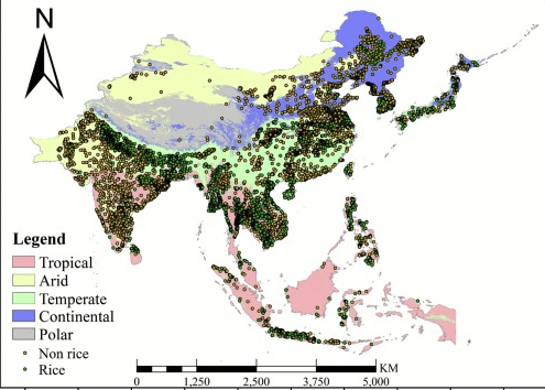 yohaniddawela's tweet photo. Rice cultivation in Asia consumes 30% of the world’s exploited freshwater and is a massive source of methane emissions. 

But until now, we lacked granular data to track it. 

A AI model from NASA and IBM has finally mapped the entire continent at 30 m resolution https://t.co/aIBLJdKS3M